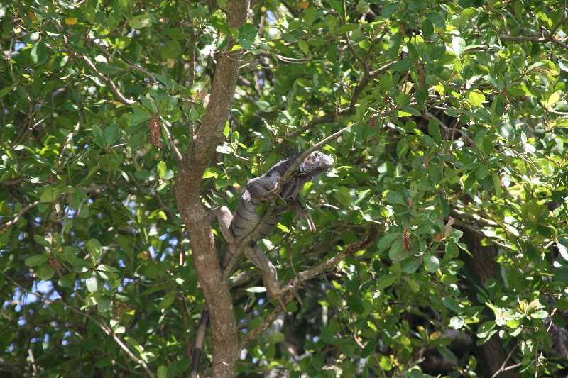 Mexico & Guatemala 2010 - 1183